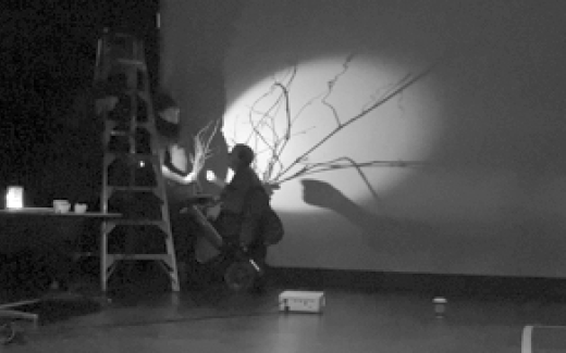 Branches silhouette projected against a wall