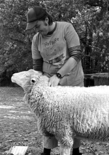 Mathieu Ménard with Madrid, the sheep